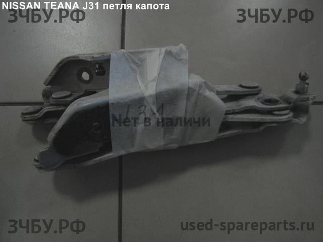 Nissan Teana 1 (J31) Петля капота