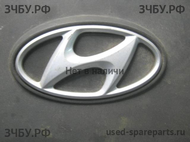 Hyundai Santa Fe 1 (SM) Кожух двигателя (накладка, крышка на двигатель)