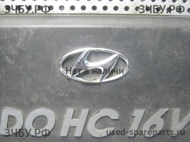Hyundai Sonata NF Кожух двигателя (накладка, крышка на двигатель)