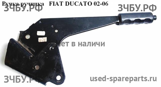 Fiat Ducato 4 Ручка внутренняя потолочная